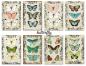 Preview: #144 Decorer Mini Scrapbook Paper Set Butterfly