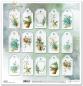 Preview: ITD Collection 12x12 Paper Pad Flower Post Forget Me Not #45