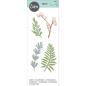 Preview: Sizzix Thinlits Dies 5Pk Natural Leaves #664361