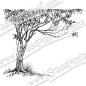 Preview: Stampendous Fran's Cling Stamp Growing Tree
