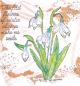 Mobile Preview: Studio Light Clear Stamp  Snowdrops #158