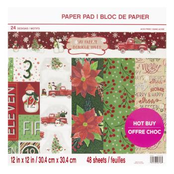 Craft Smith 12x12 Inch Paper Pad Say Freeze II