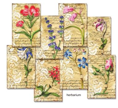 Decorer Mini Scrapbook Paper Set Herbarium