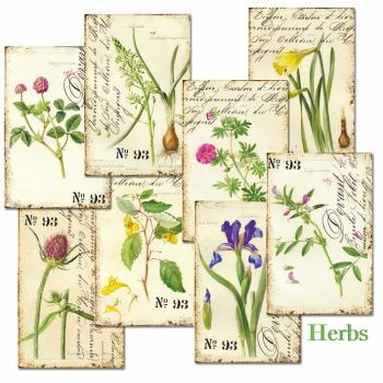 Decorer Mini Scrapbook Paper Set Herbs