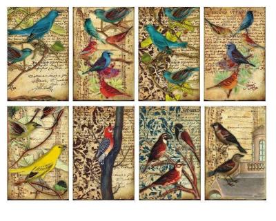 #15 Decorer Mini Scrapbook Paper Set Birds