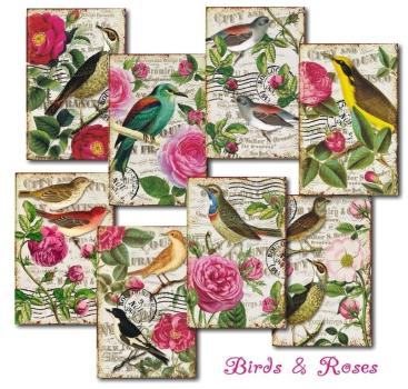 #78 Decorer Mini Scrapbook Paper Set Birds & Roses