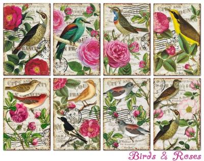 #78 Decorer Mini Scrapbook Paper Set Birds & Roses