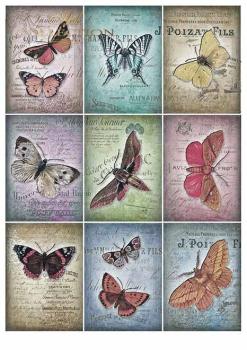 ITD Collection A4 Paper Pack Beautiful Butterflies