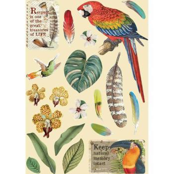 Stamperia Wooden Shape A5 Amazonia Parrot #KLSP095