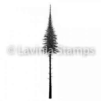 Lavinia Stamps Fairy Fir Tree LAV489
