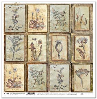 ITD Collection 12x12 Paper Sheet Herbarium #1171