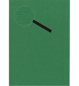 Santana A4 Paper Leather Look Green