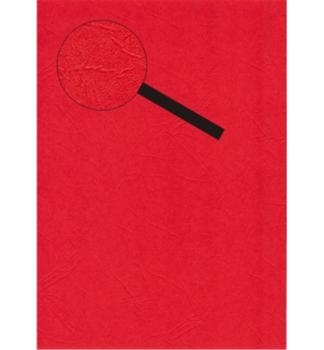 Santana A4 Paper Leather Look Red