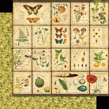 Graphic 45 Nature Notebook Deluxe Collector's Edition (4502093)