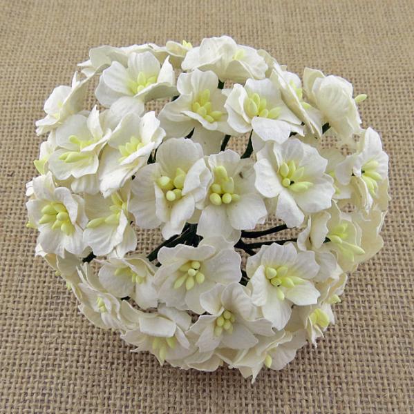50 White Mulberry Paper Apple Blossom #360