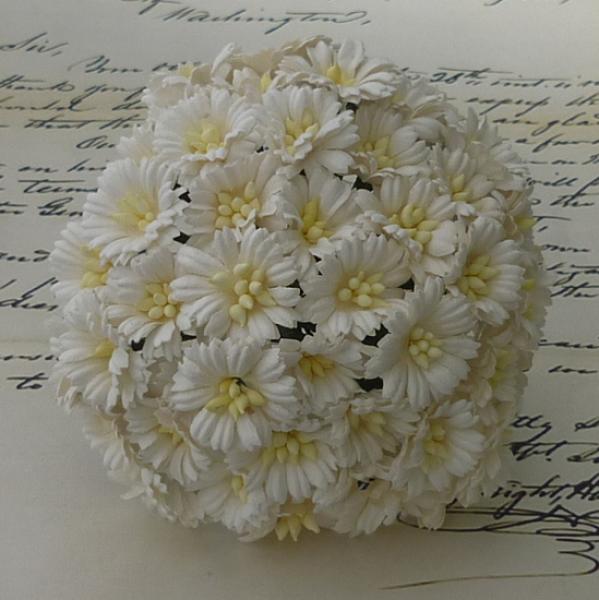 50 White Mulberry Paper Cosmos Daisy SAA044