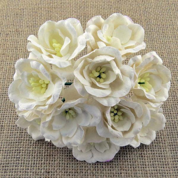 50 White Mulberry Paper Flowers Magnolia #362