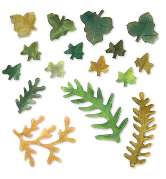 SALE Sizzix Thinlits Die Set 12PK Leaves, Fern & Ivy #658412