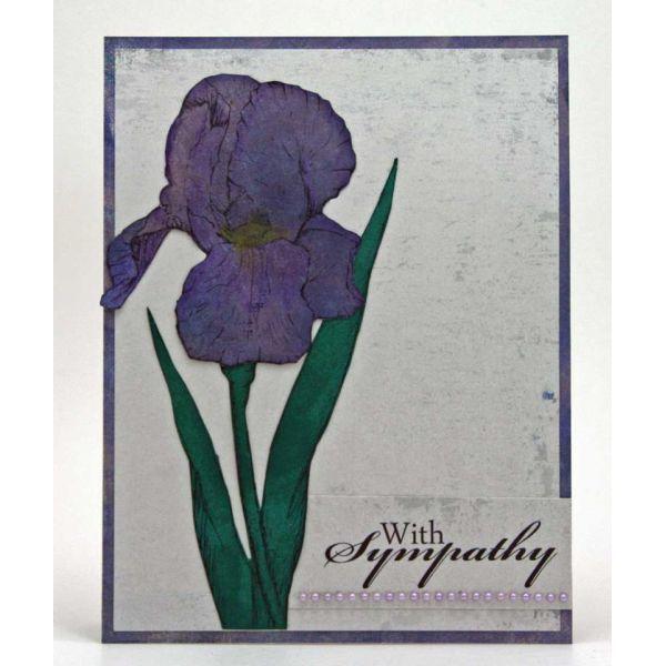 A Little Bit Floral Stamp A6 Set - Iris by Sheena Douglass