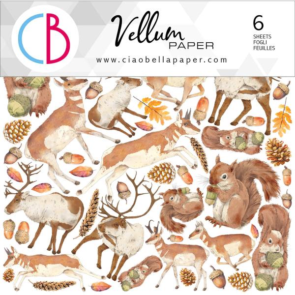 Ciao Bella 6x6 Vellum Paper Into the Wild #006