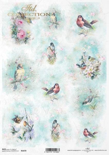 ITD A4 Rice Paper Shabby Chic #1670