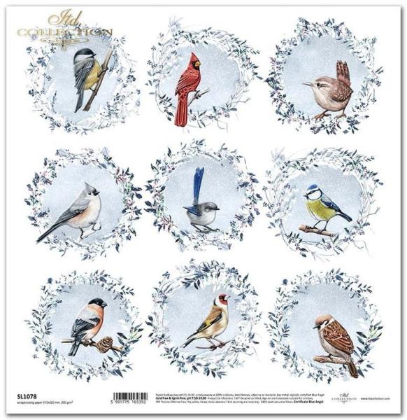 ITD Collection 12x12 Paper Sheet Decorated w. Frost #1078