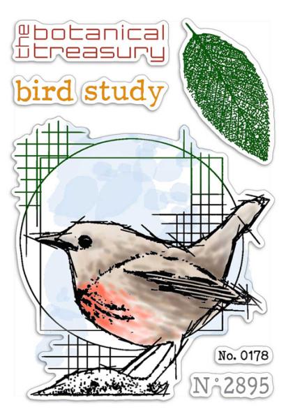 Ciao Bella Clear Stamp Bird Study #6056