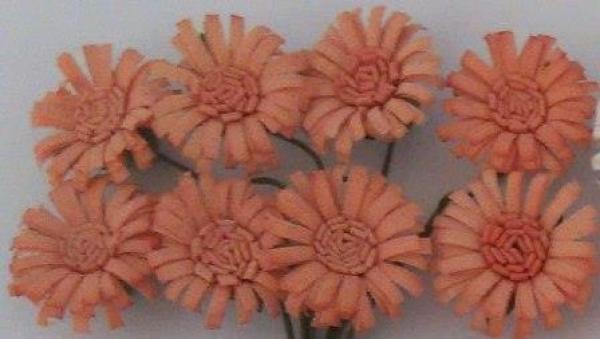 Paper Flowers Daisies Pale Pink