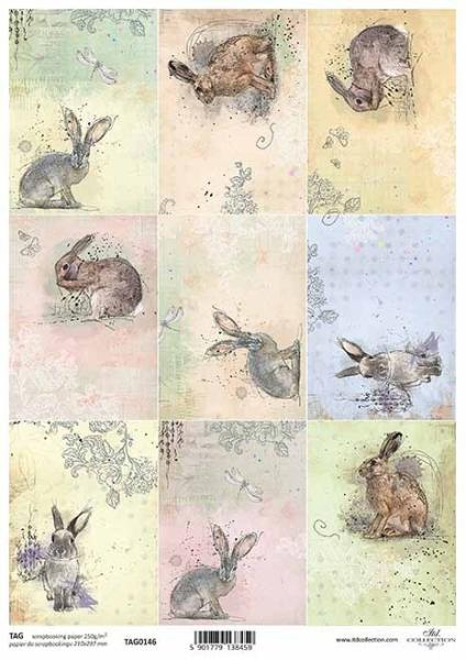 ITD Collection A4 Scrapbooking Paper #0146