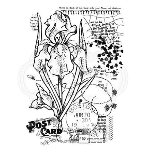 Woodware Clear Magic Stamp Vintage Iris FRS738