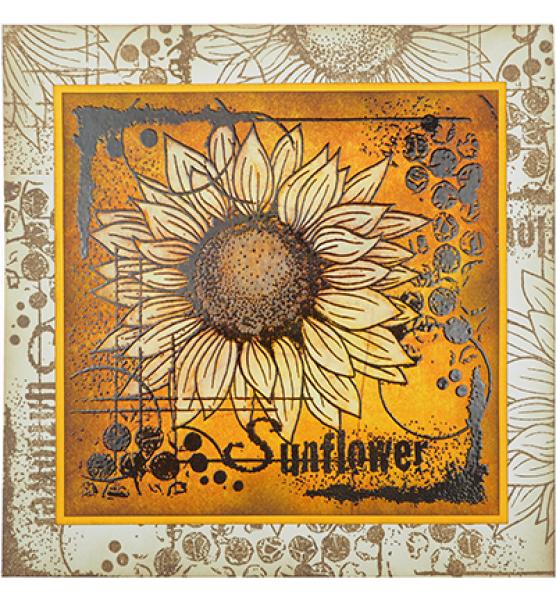 Woodware Clear Stamp Sunflower Sketch JGB004