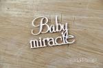 Scrapiniec Chipboard Baby Miracle