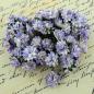 Preview: 50 White Lilac Mulberry Paper Aster Flowers #382