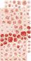 Preview: Craft O Clock Basic Flowers Set 10 Red