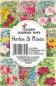 Preview: Decorer Mini Scrapbook Paper Set Herbs & Roses