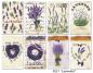 Preview: #27 Decorer Mini Scrapbook Paper Set Lavender