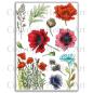 Preview: Hobby Art Clear Stamps Poppies
