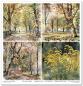 Preview: ITD Collection Paper Pad 12x12 Autumn Love Story #069
