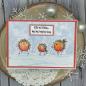 Preview: Woodware Clear Magic Stamp Bubble Hopping Robins FRS849