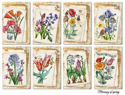 #135 Decorer Mini Scrapbook Paper Set Memories of Spring