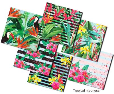 Decorer 8x8 Paper Pad Tropical Madness