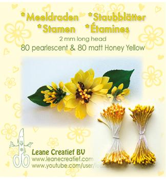 Flower Stamens Staubblätter Matt & Pearl Honey Yellow