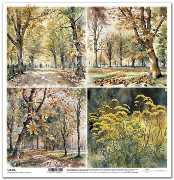 ITD Collection 12x12 Sheet Autumn Love Story SL1456