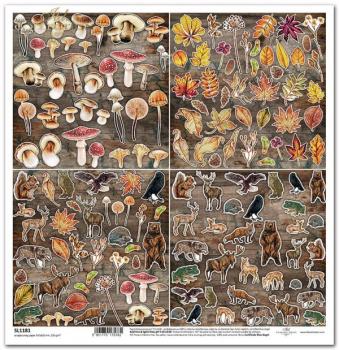ITD Collection 12x12 Sheet Mysterious Forest Elements #1181
