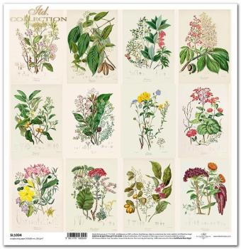 ITD Collection 12x12 Paper Pad Herbarium