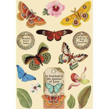 Stamperia Wooden Shape A5 Amazonia Butterfly #KLSP093