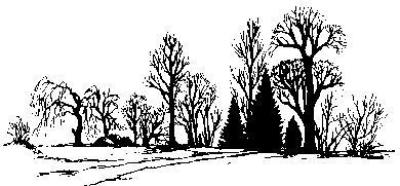 Personal Impressions Wood Stamp Winter Tree Scene P328N