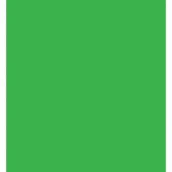 Tsukineko StazOn Midi Inkpad - Cactus Green (52)