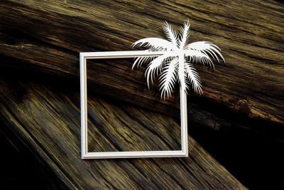 SnipArt Chipboard Tropical Adventure Palm Frame #24677