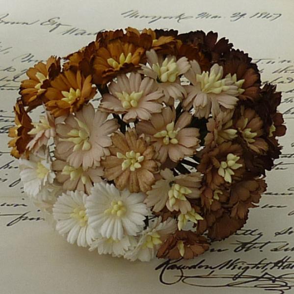 50 Mixed Brown Mulberry Paper Cosmos Daisy SAA239